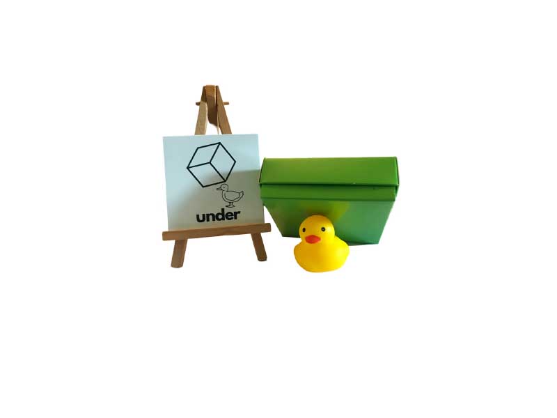 _0000s_0002_Spatial Awareness Duck Kit 3.jpg